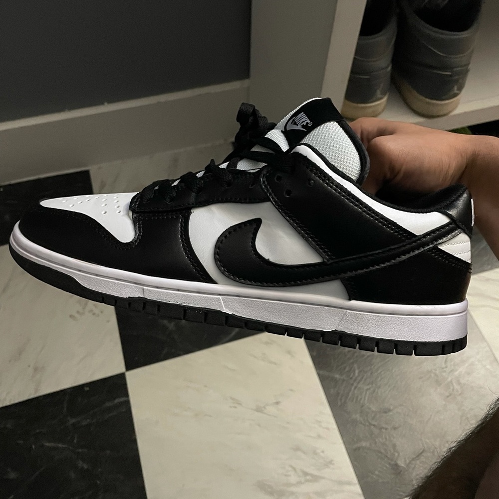 Nike sb dunk lows